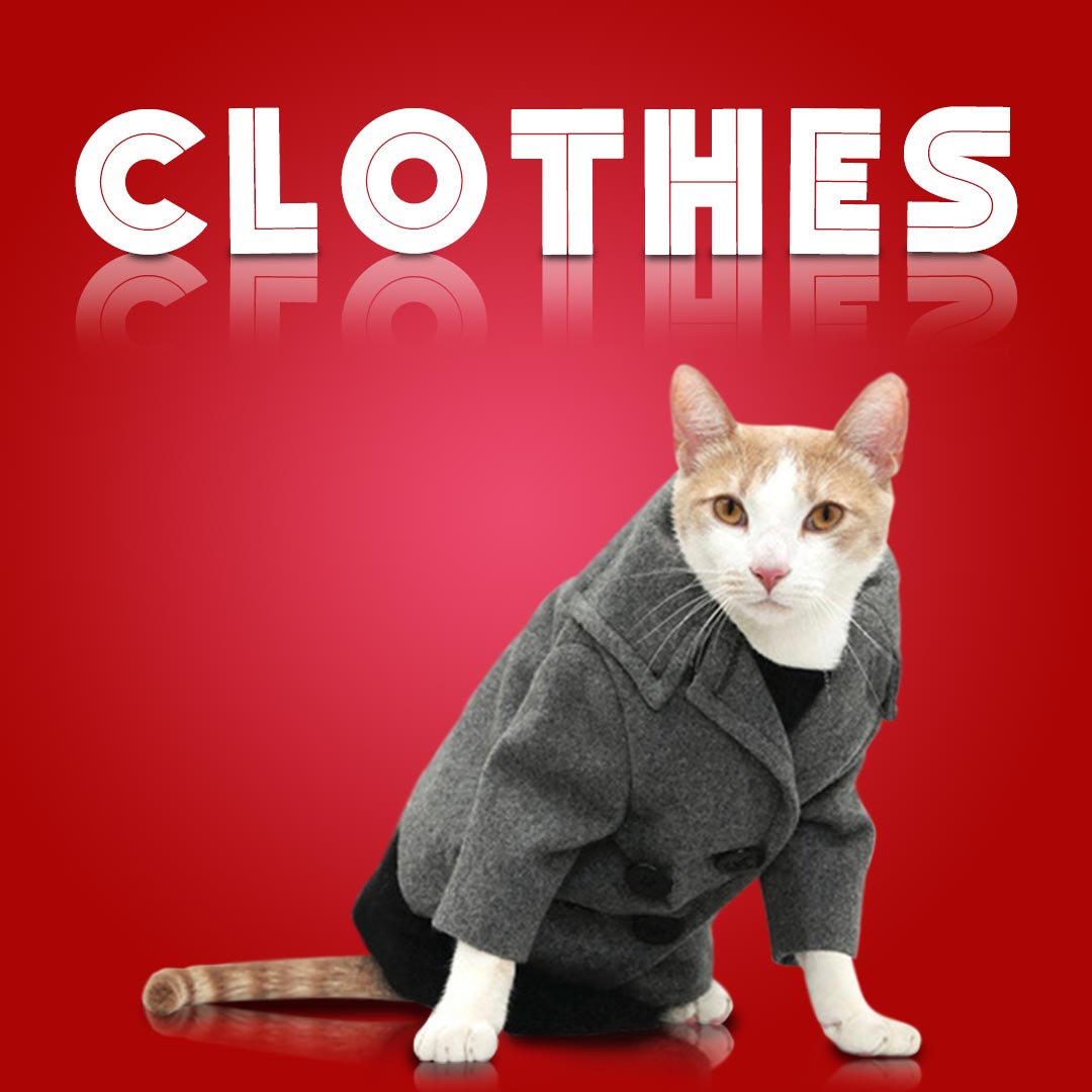 Cat Clothes Online Buy Cat Apparels Online In India Pawsindia