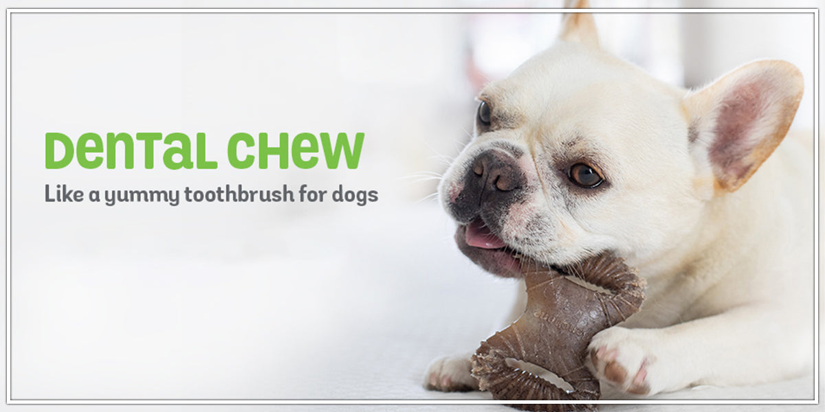 Dog dental Chew 