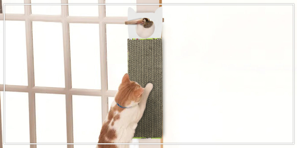 Cat Scratcher