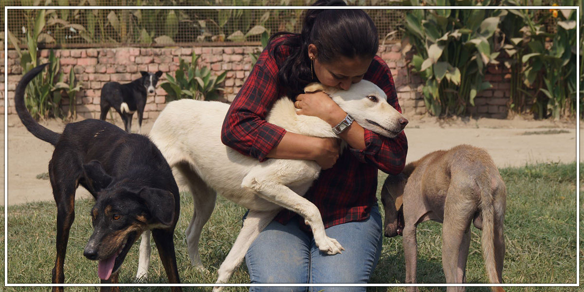 animal shelter in india 