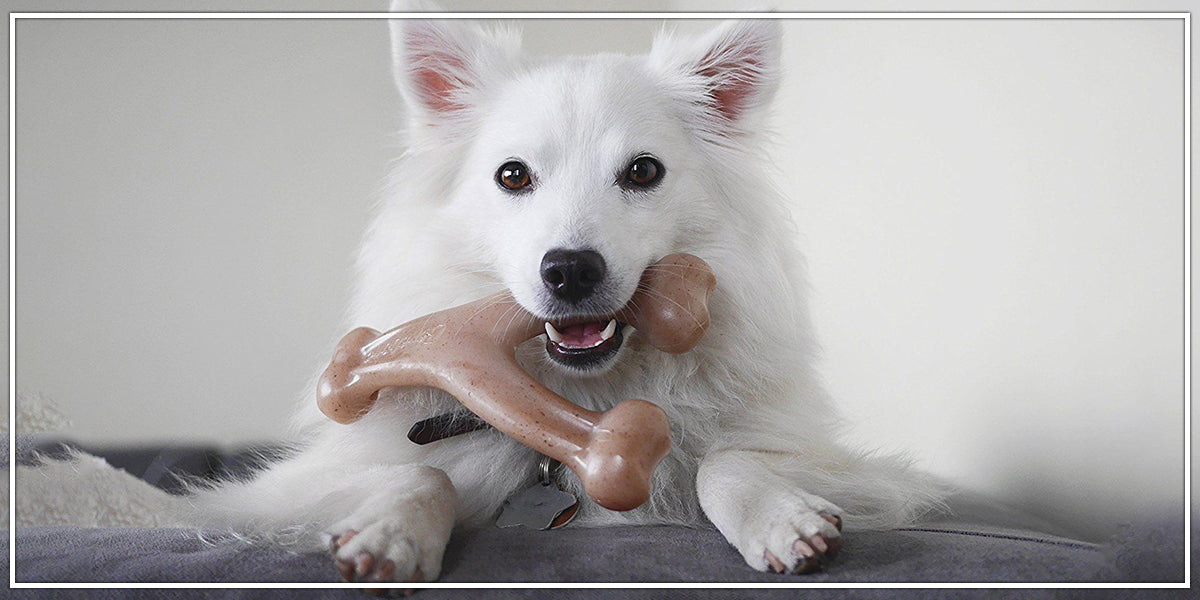 Dog Chew Toy 