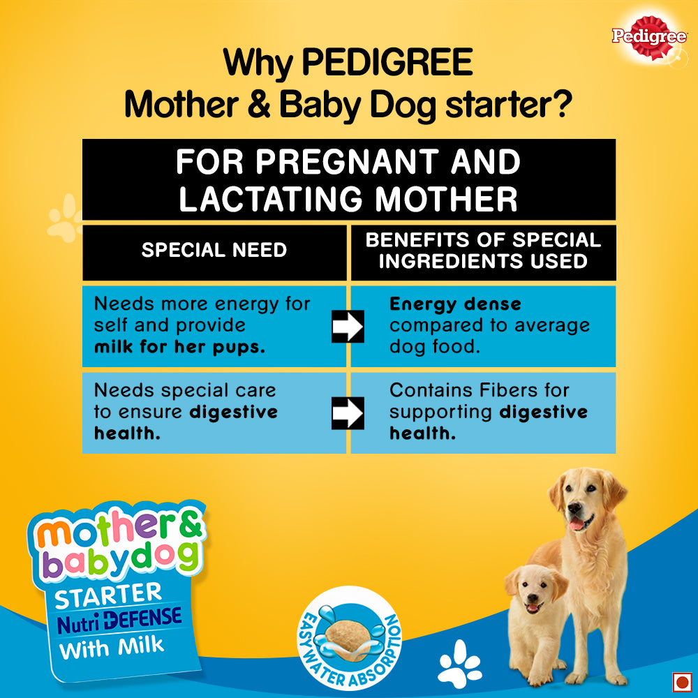 is milk good for a pregnant dog