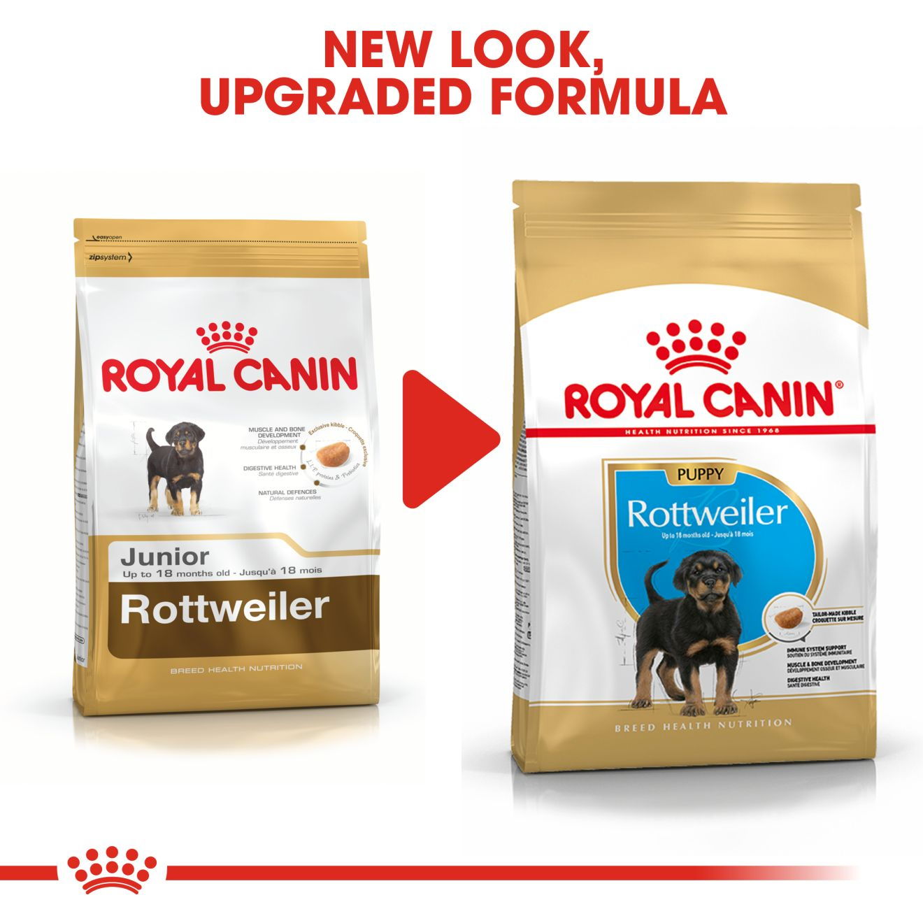 Royal Canin - Rottweiler Puppy Dry Food – Pawsindia