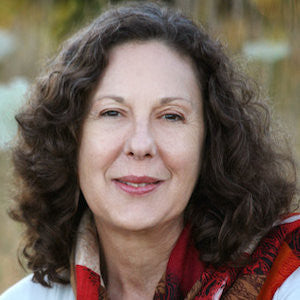 Dreams: Messengers Of Wisdom with Anne Scott