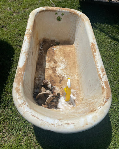 Rusty claw foot tub 