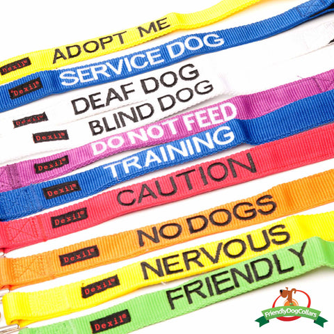 Why “It’s Okay, My Dog is Friendly” is NOT Okay – Friendly Dog Collars