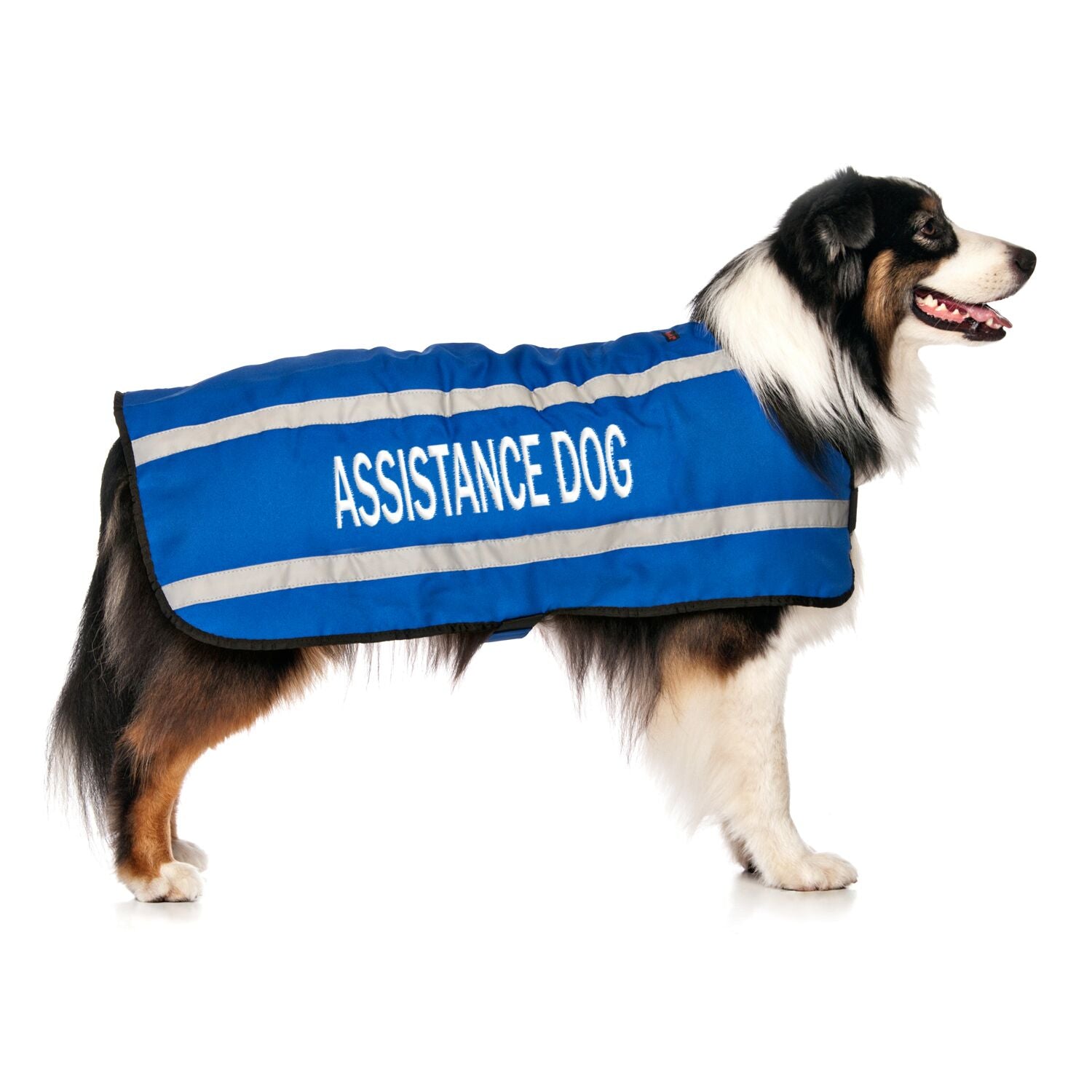 assistant dog coats