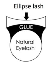 shape of ellipse lash extension and natural eyelash