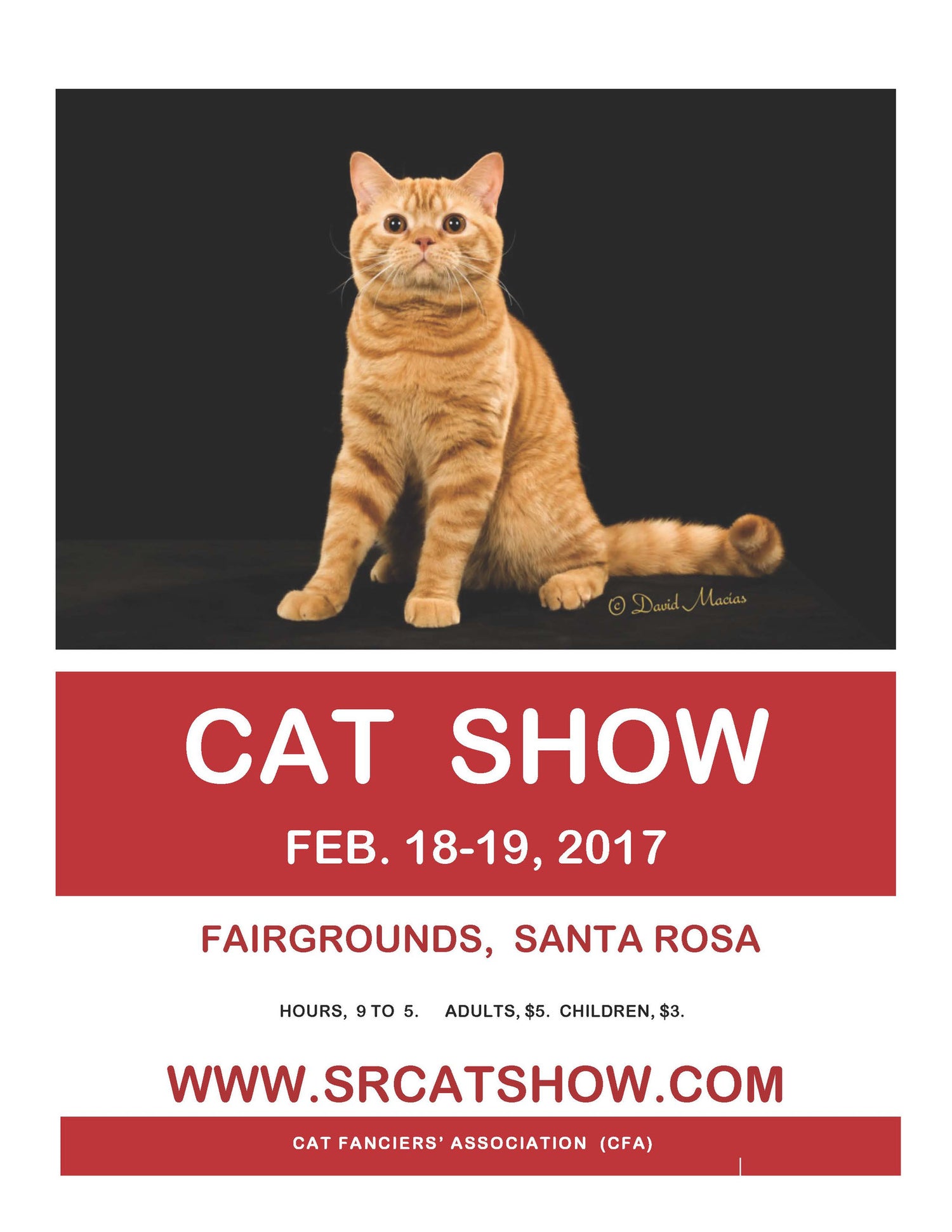 Call of the Wild's Annual CFA Cat Show in Santa Rosa, CA Claudia