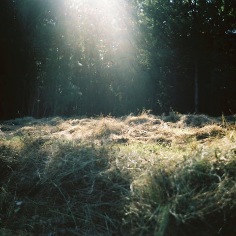 Dark-as-Midday_Anna-Lilleengen_Butiken-Republiken-foto-Photo