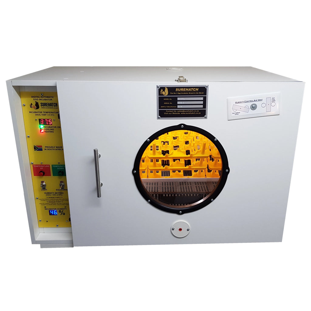 automatic egg incubator