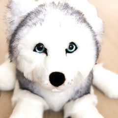 Doudou Mon husky Léonard