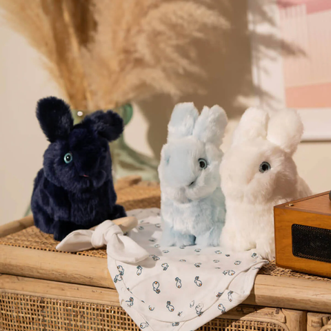 Léon, Name for Rabbit Soft Toy, La Pelucherie