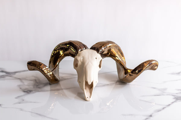 Ceramic Ram Skull large