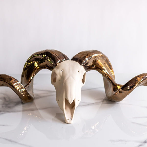 Ceramic Ram Skull large