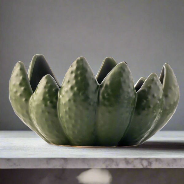 Aloe Bowl