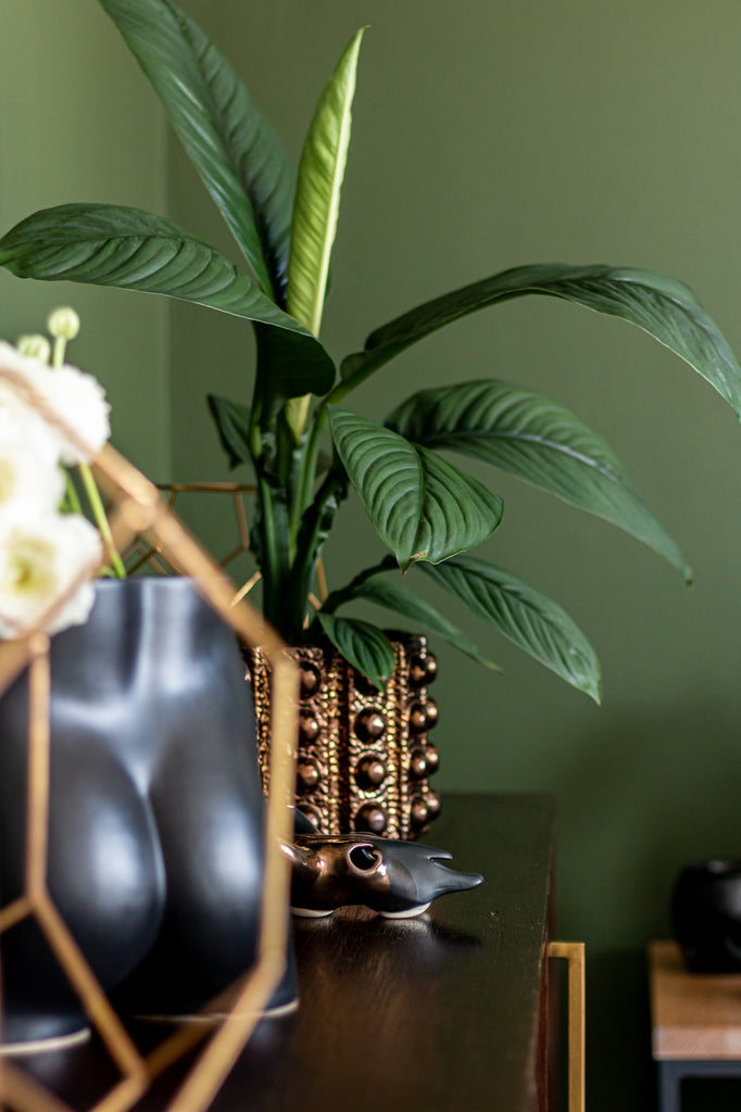 Close up photography of Stuart's Interior Styling with Rialheim Vases