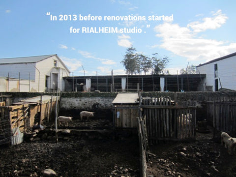Rialheim studio before 2013
