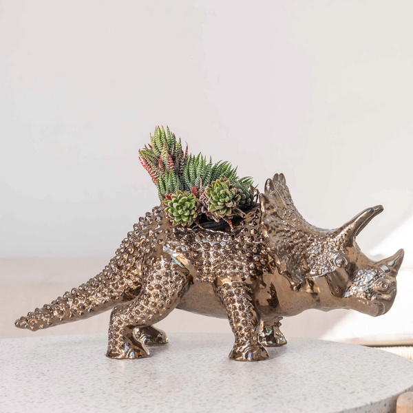 Dan The Dino Planter