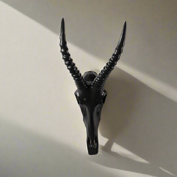 Blesbok Wall Skull