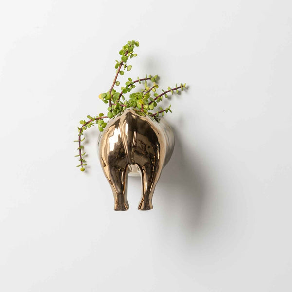 Rhino Wall Planter Head/Tail