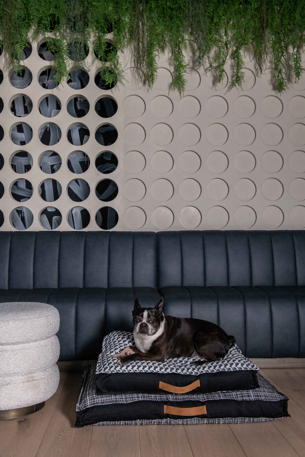 Frenchie Houndstooth Dog Bed
