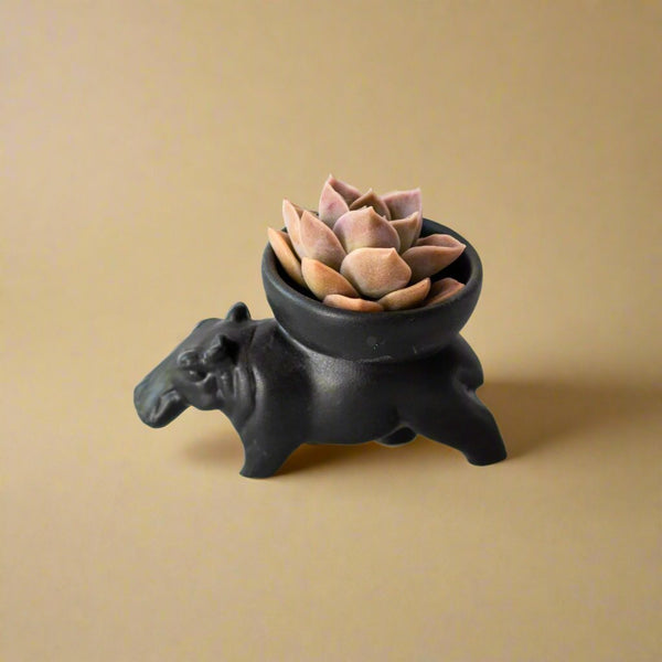 Huberta the Hippo Bowl Small