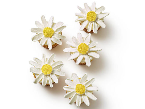 daisy cupcakes