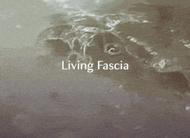 Living Fascia