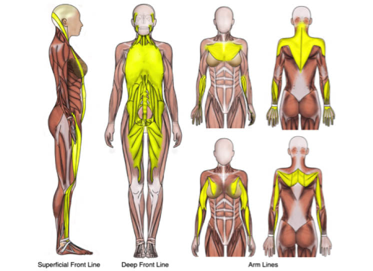 Structural Fascia