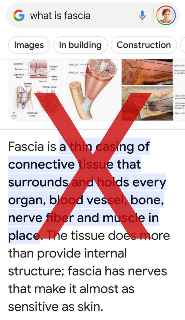 What is Fascia connective tissue