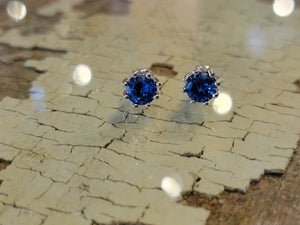 Blue Sparkling Stud Earrings