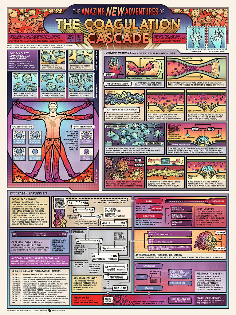 Coagulation Cascade Poster – Nerdcoremedical