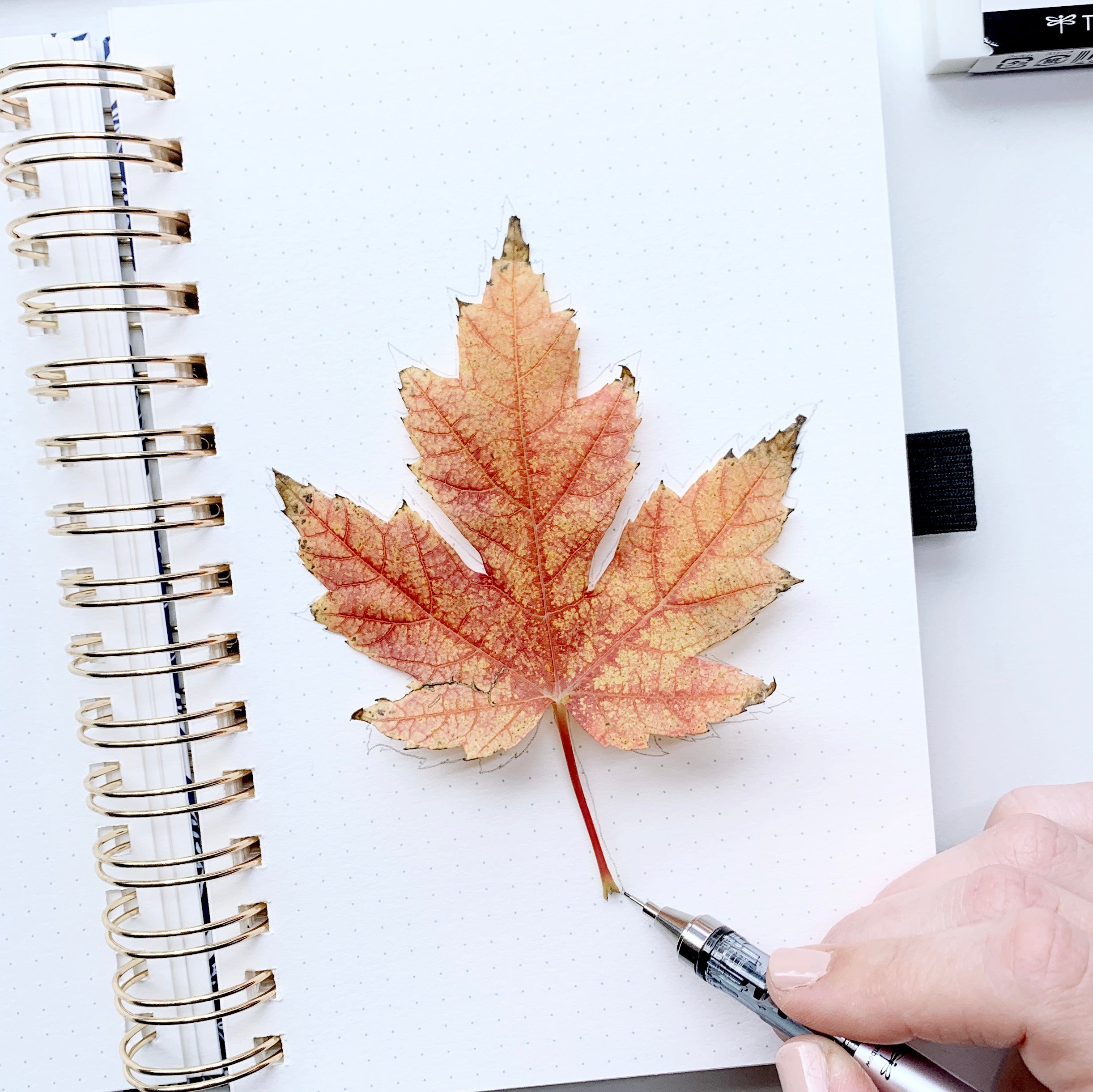Learn how to create a fall leaf watercolor illustration with Adrienne from @studio80design!