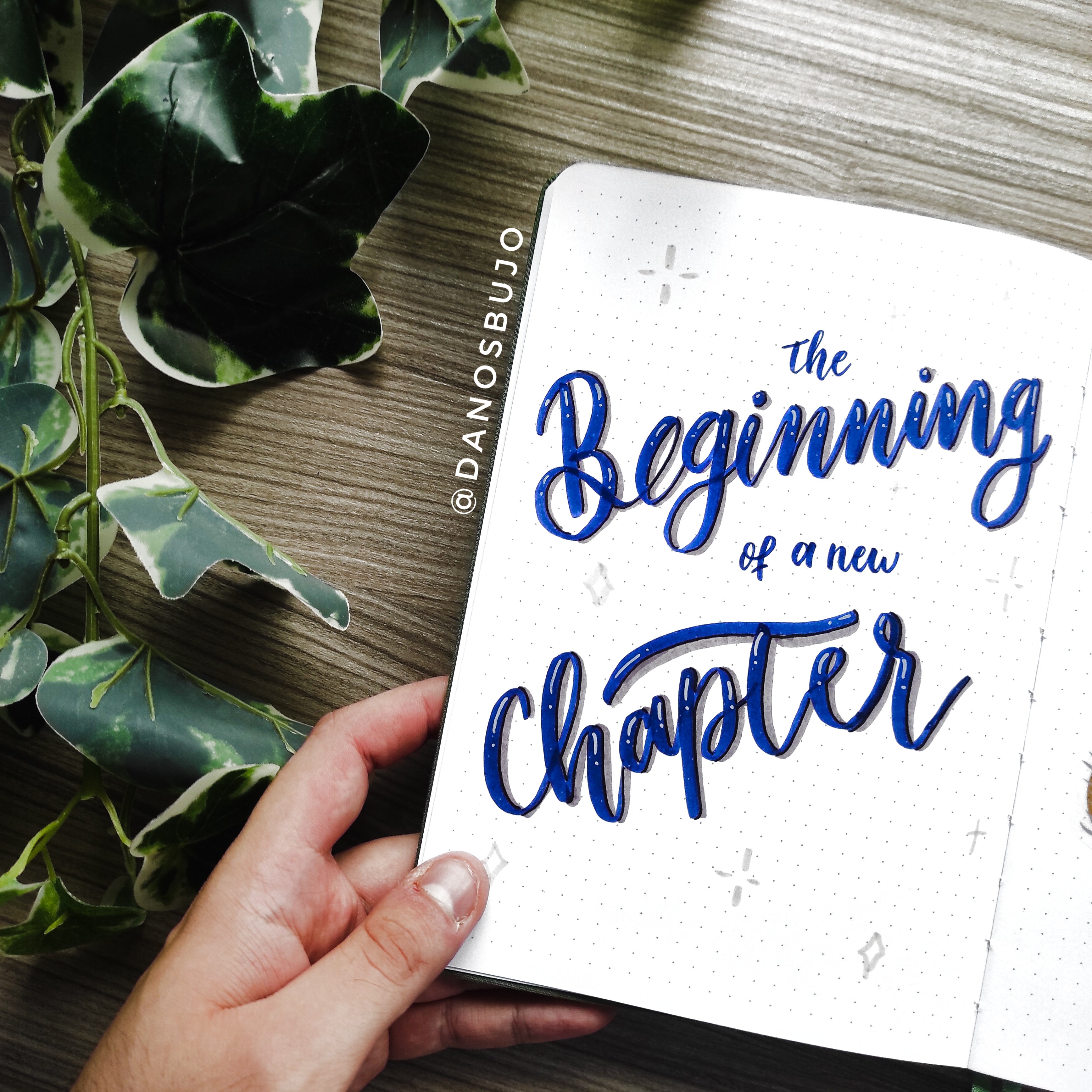 beginning chapter