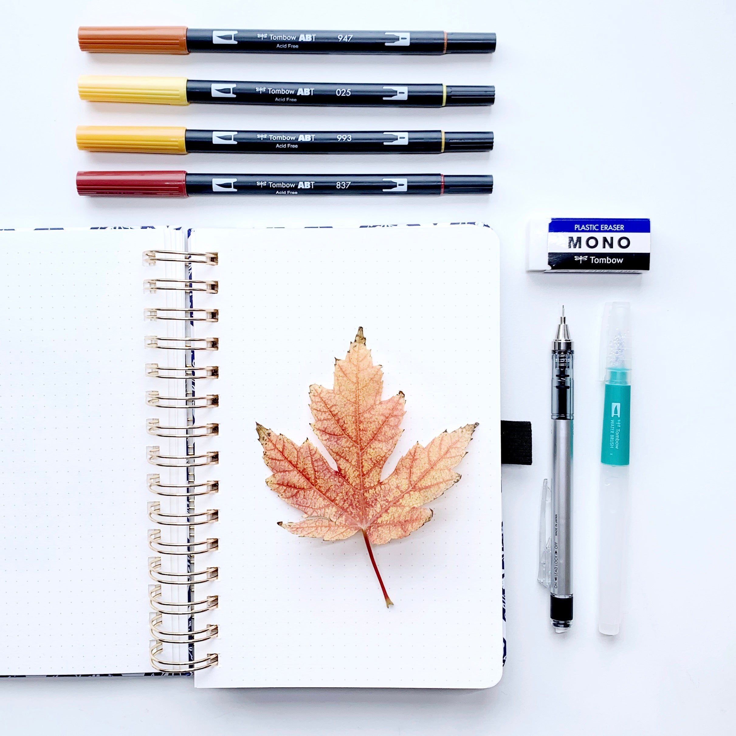 Learn how to create a fall leaf watercolor illustration with Adrienne from @studio80design!