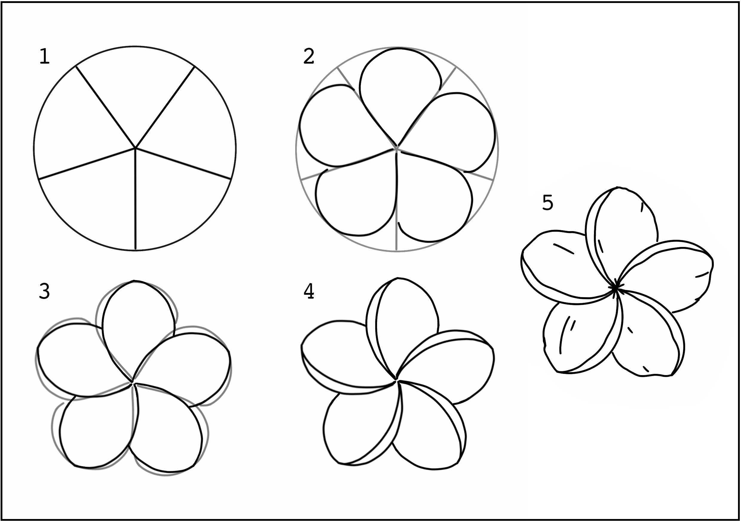 How to draw a plumeria flower tutorial