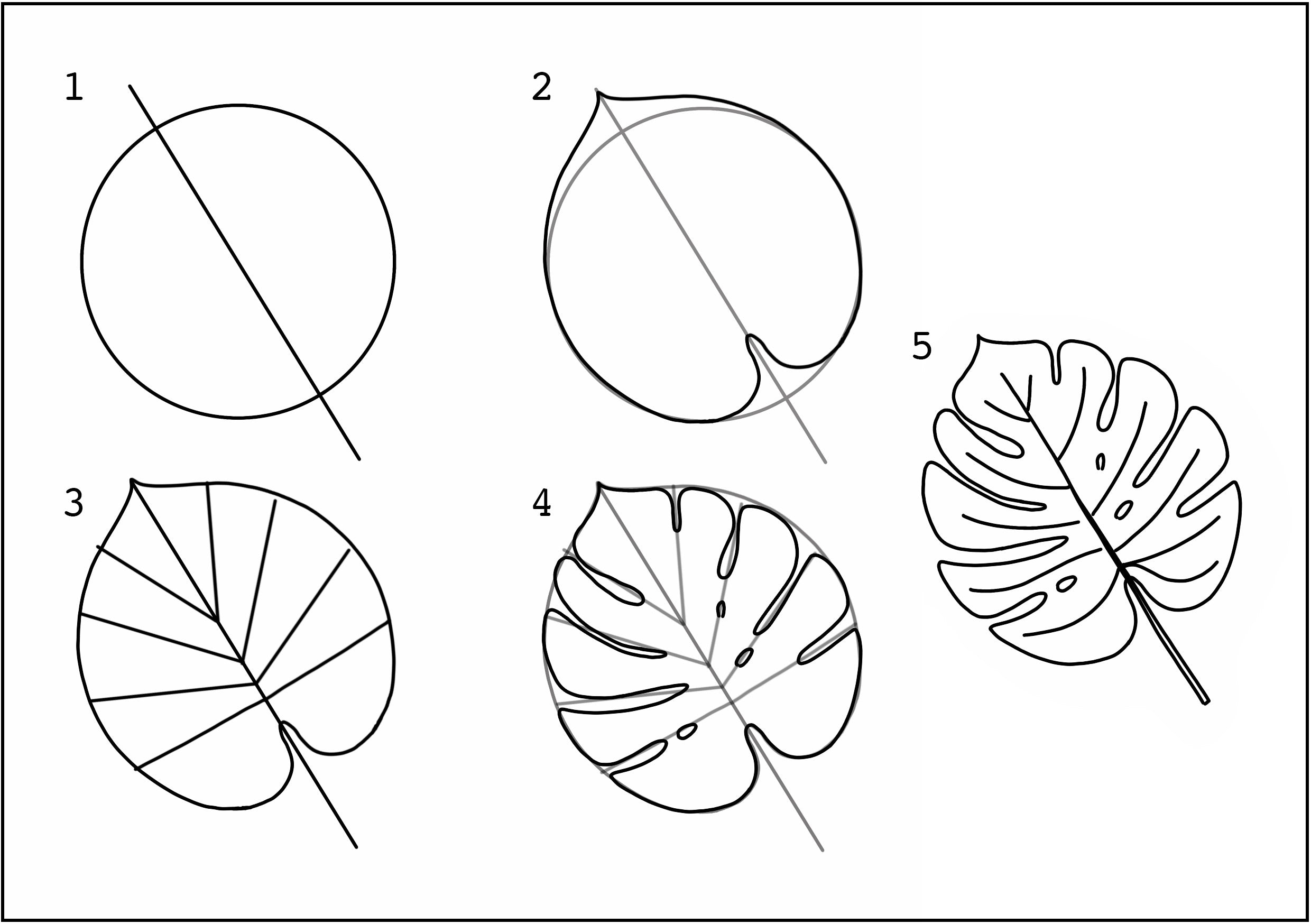 How to draw a monstera leaf tutorial