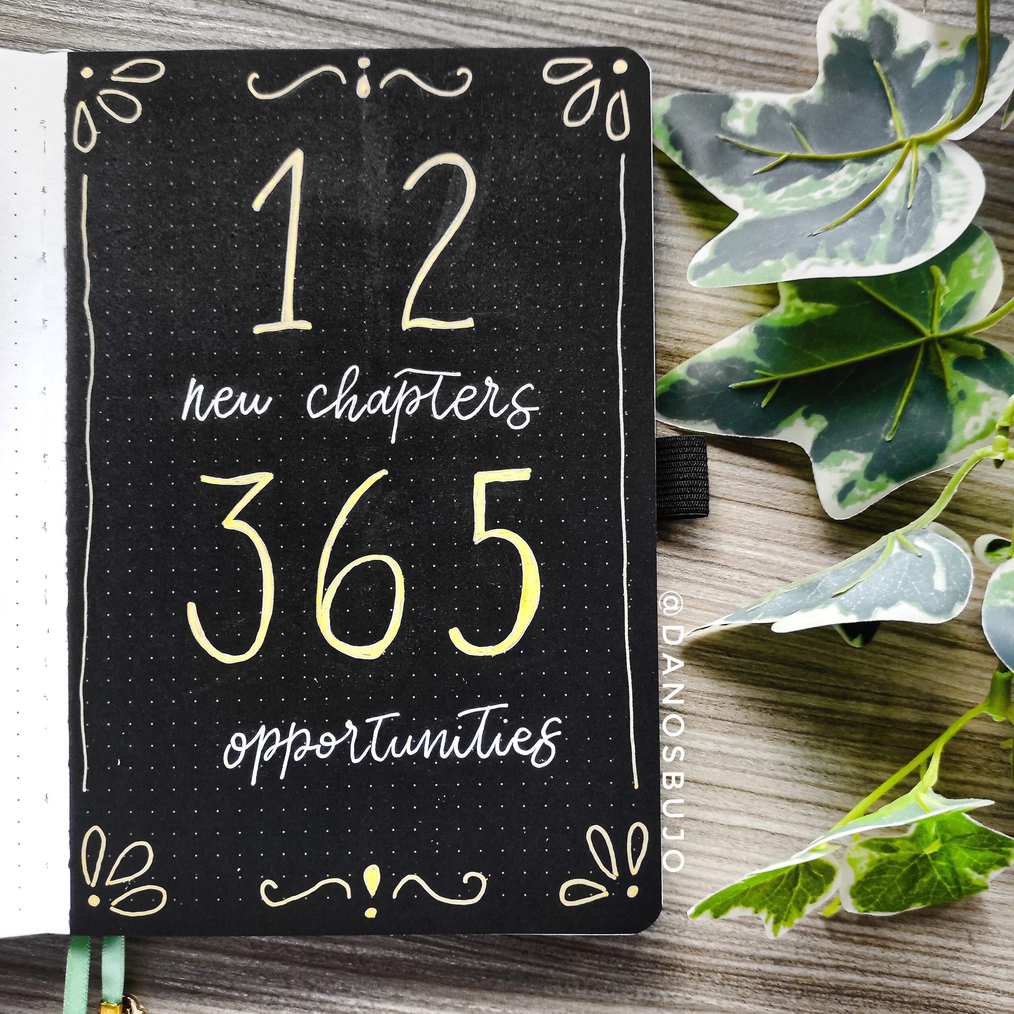 12 new chapters, 365 opportunities