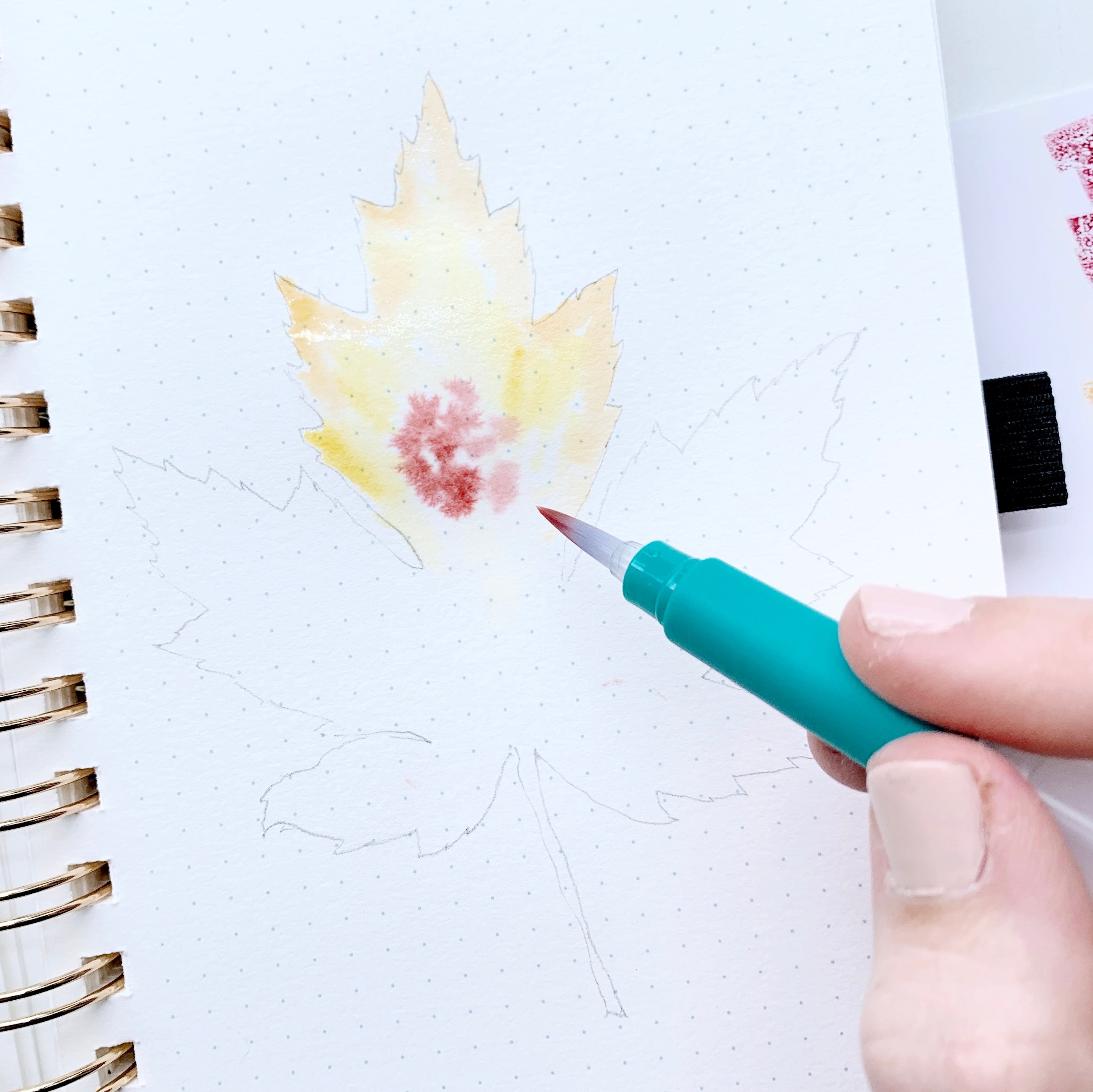 Learn how to create a fall leaf watercolor illustration with Adrienne from @studio80design!