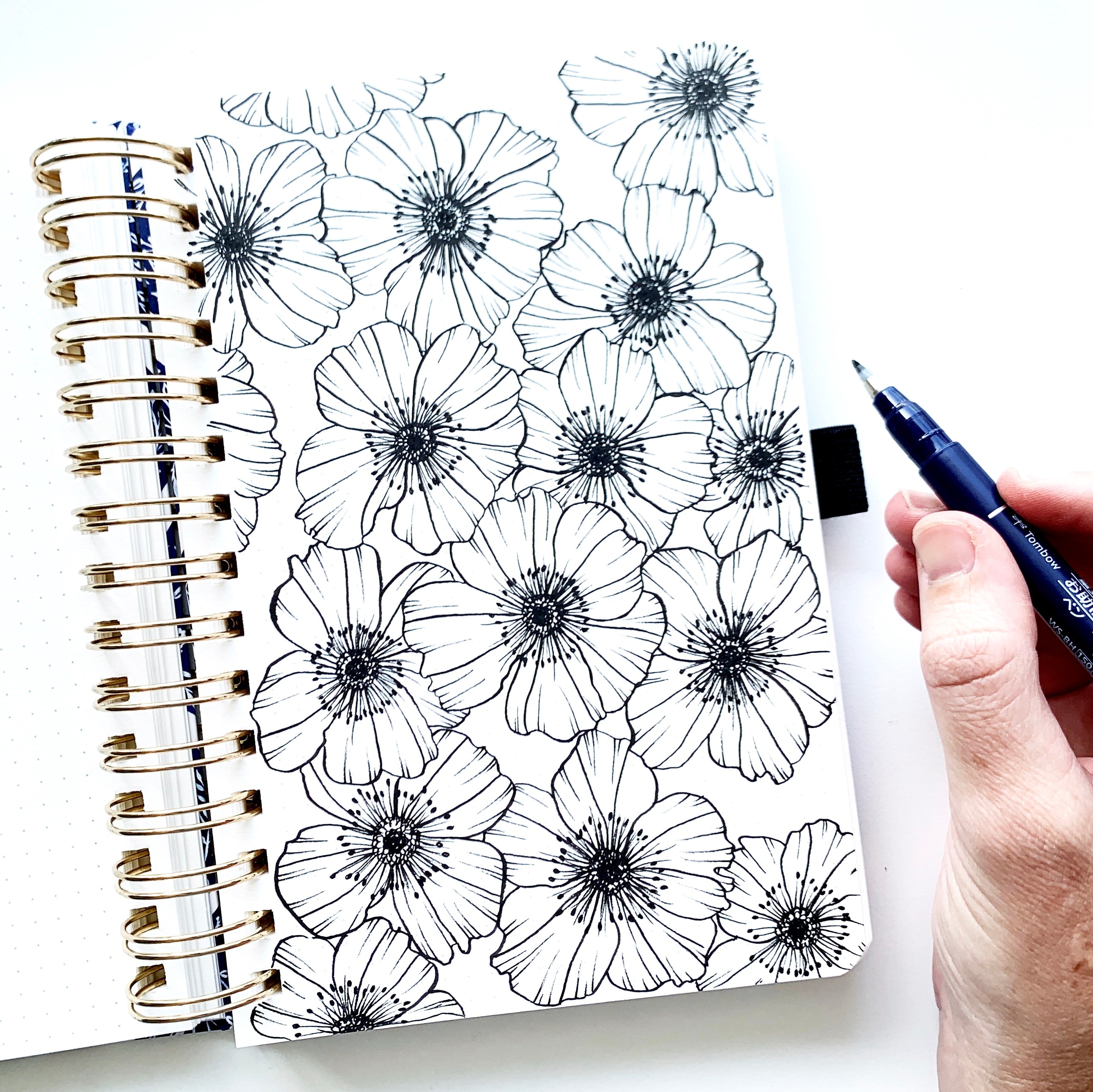 Learn how to draw and illustrate poppies with Adrienne from @studio80design!
