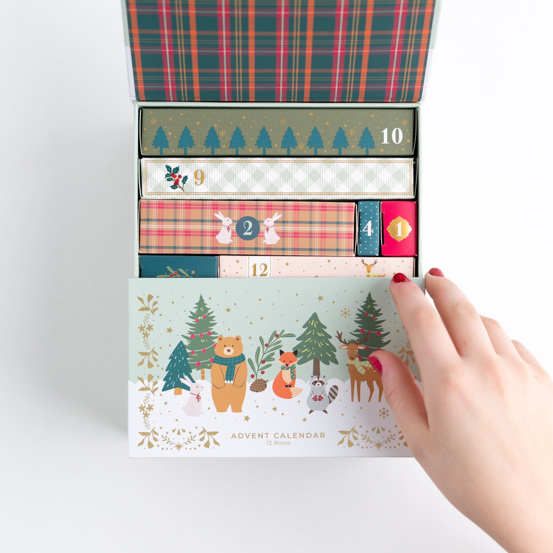 Archer and Olive - Woodland Forest Advent Calendar