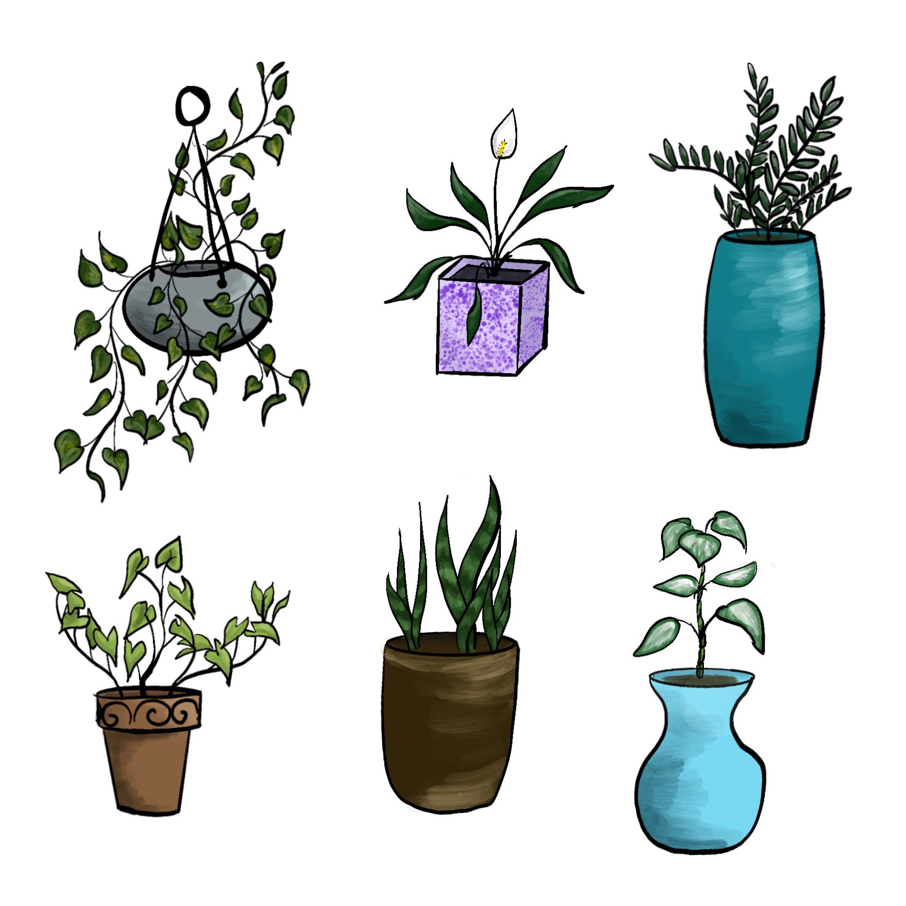 all plant doodles