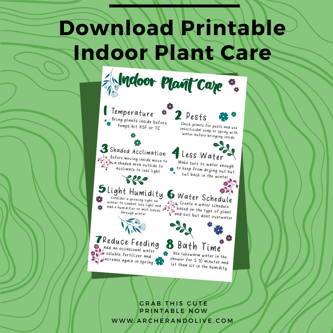 plant printable