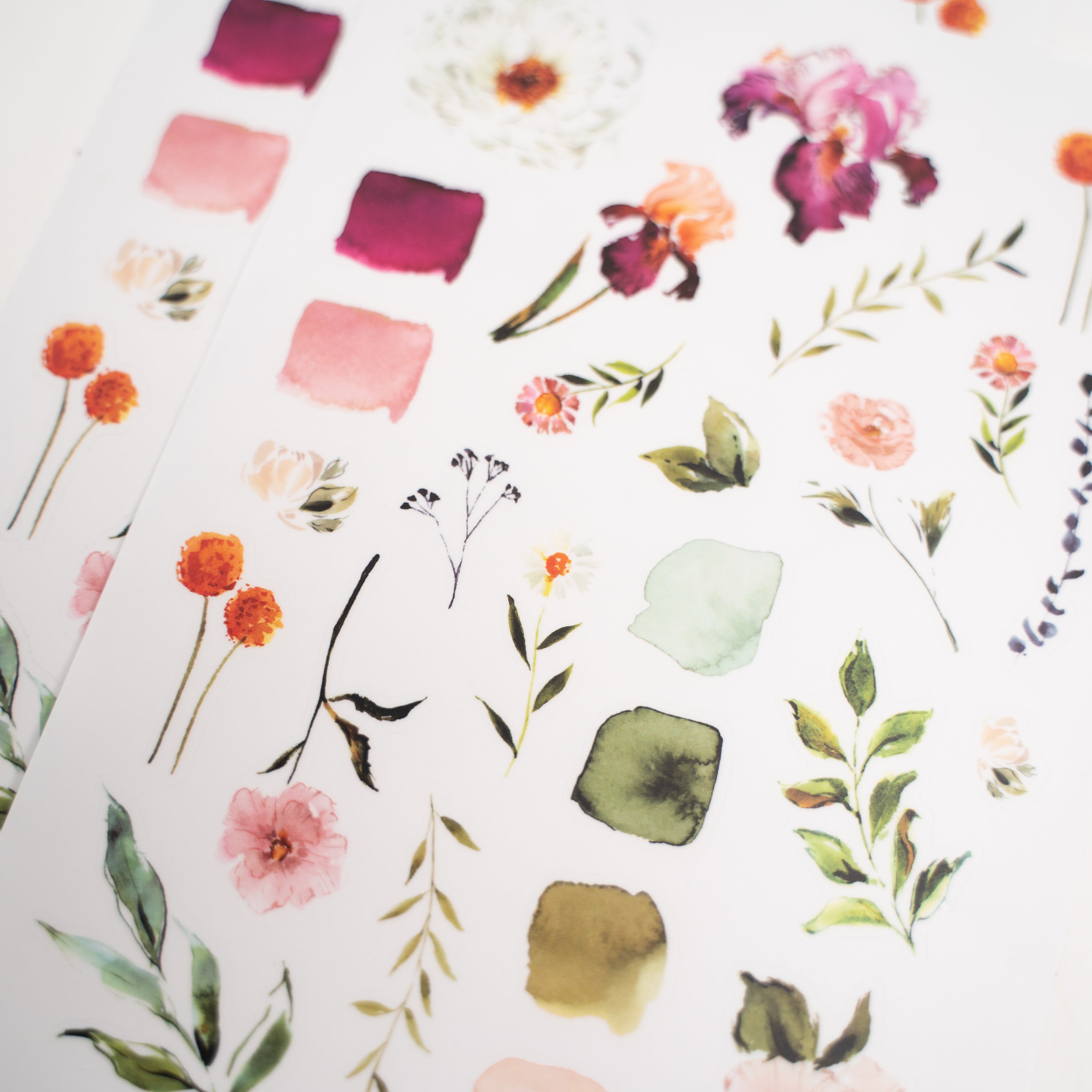 Archer and Olive x Sarah Cray - Floral Stickers