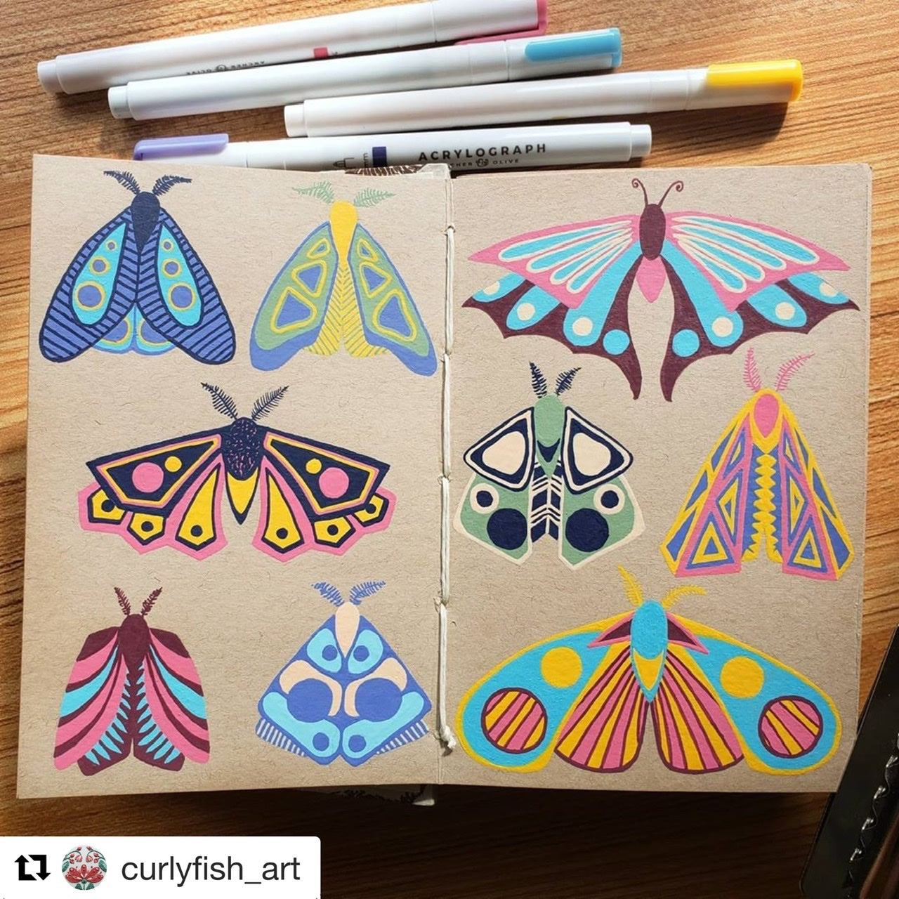 Moth illustrations