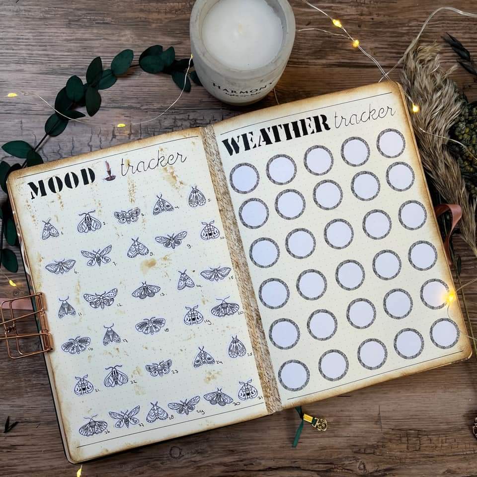 butterfly mood tracker