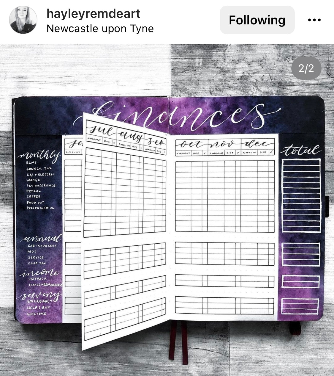 Hayleyremdeart's Finance Tracker