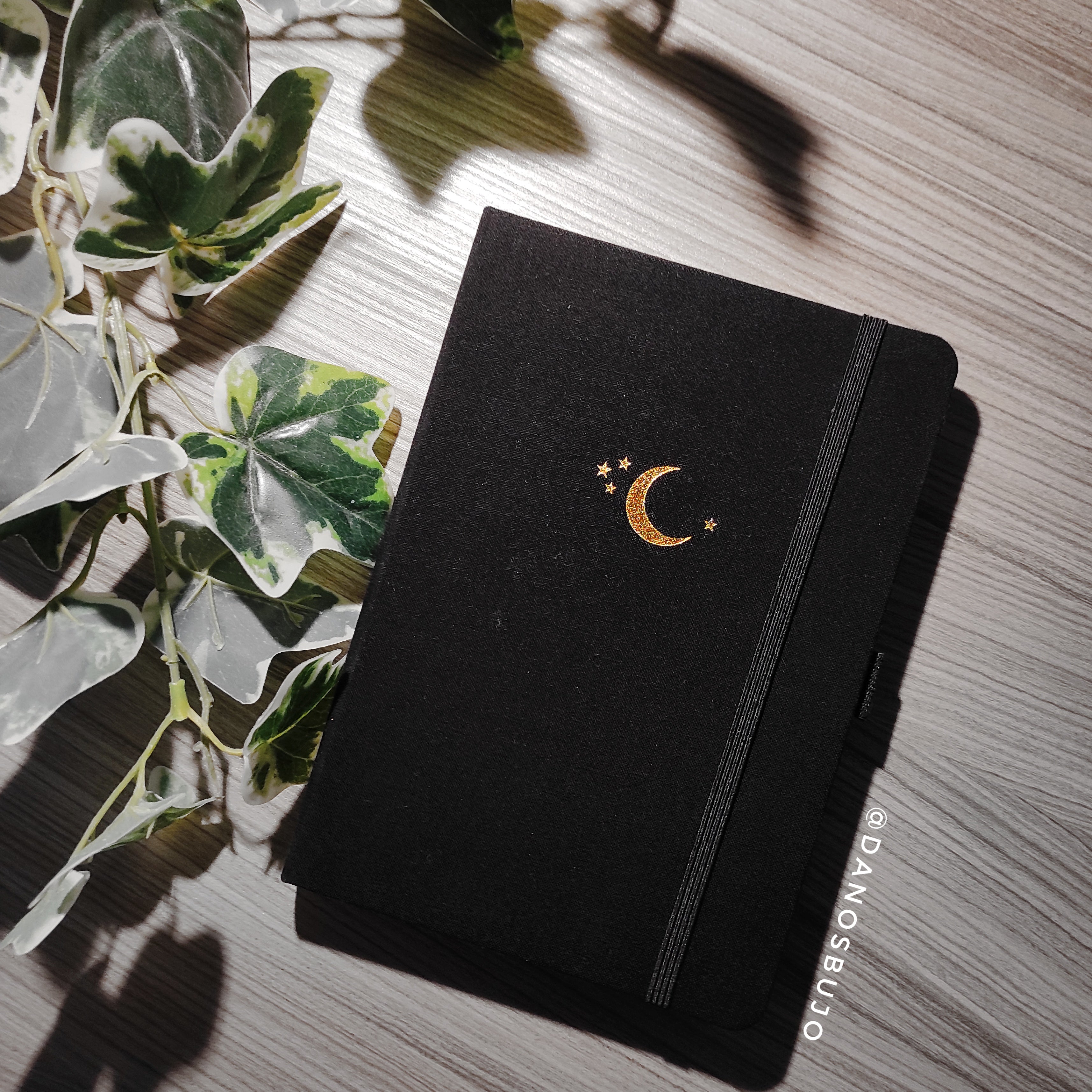 crescent moon notebook