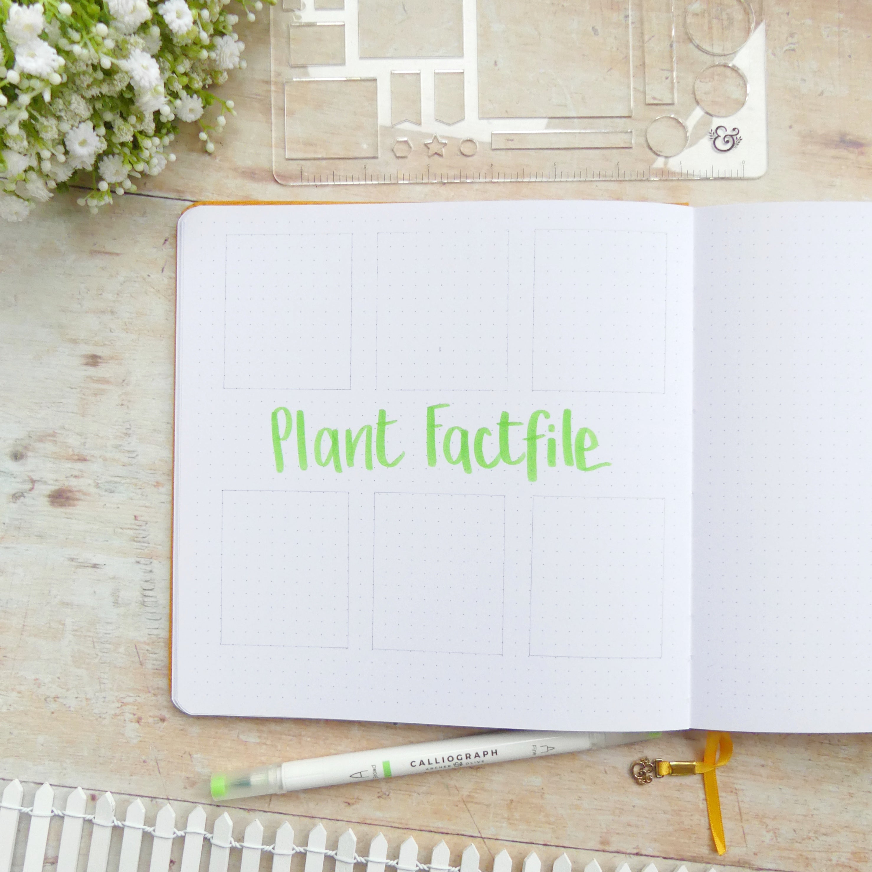 Open journal with title Plant fact file and outlined boxes
